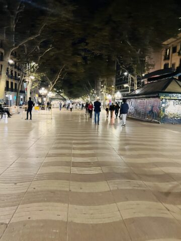 Walk at Night in Barcelona