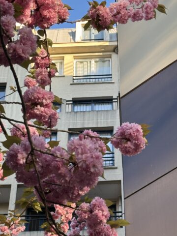 Day 112: Looking Back My Whole Month in Paris