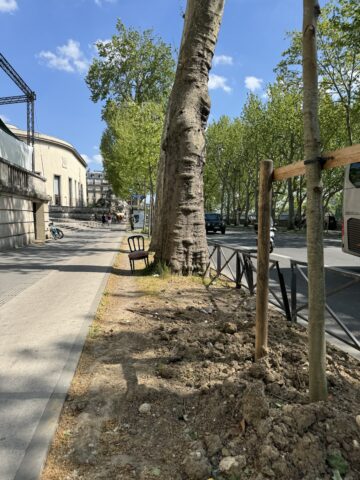 Day 112: Looking Back My Whole Month in Paris