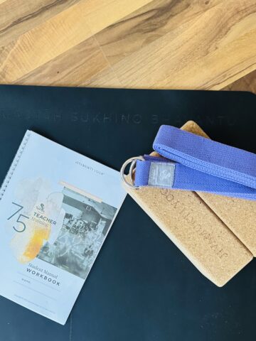 Day 113: 75h Teacher Training in Dusseldorf (Day1-5)