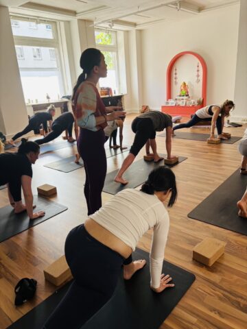 Day 113: 75h Teacher Training in Dusseldorf (Day1-5)