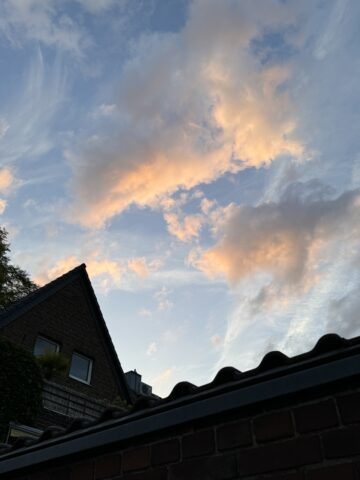Day 113: 75h Teacher Training in Dusseldorf (Day1-5)