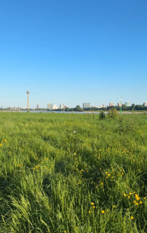 Day 113: 75h Teacher Training in Dusseldorf (Day1-5)
