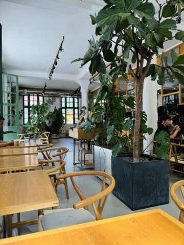 Day 116: Only 5 Days In Berlin