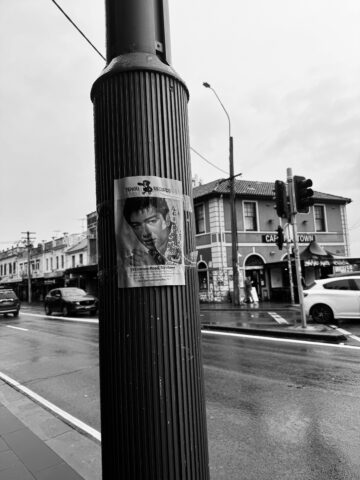 Day 118: Kawasemi (Kingfisher) and Proust