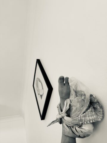 Day 118: Kawasemi (Kingfisher) and Proust