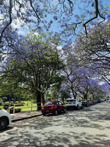 Day 101: Daily Life in Sydney