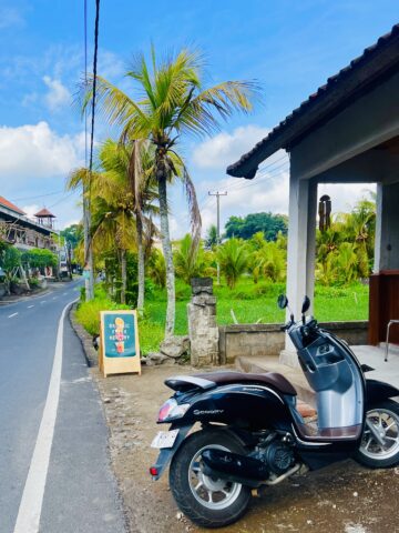 Day 77: I'm in Ubud, Bali